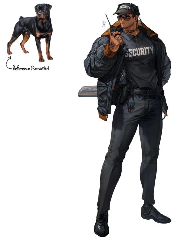 罗威纳犬,经常被用来训练成警犬. 这保安大哥的形象,太适合了!