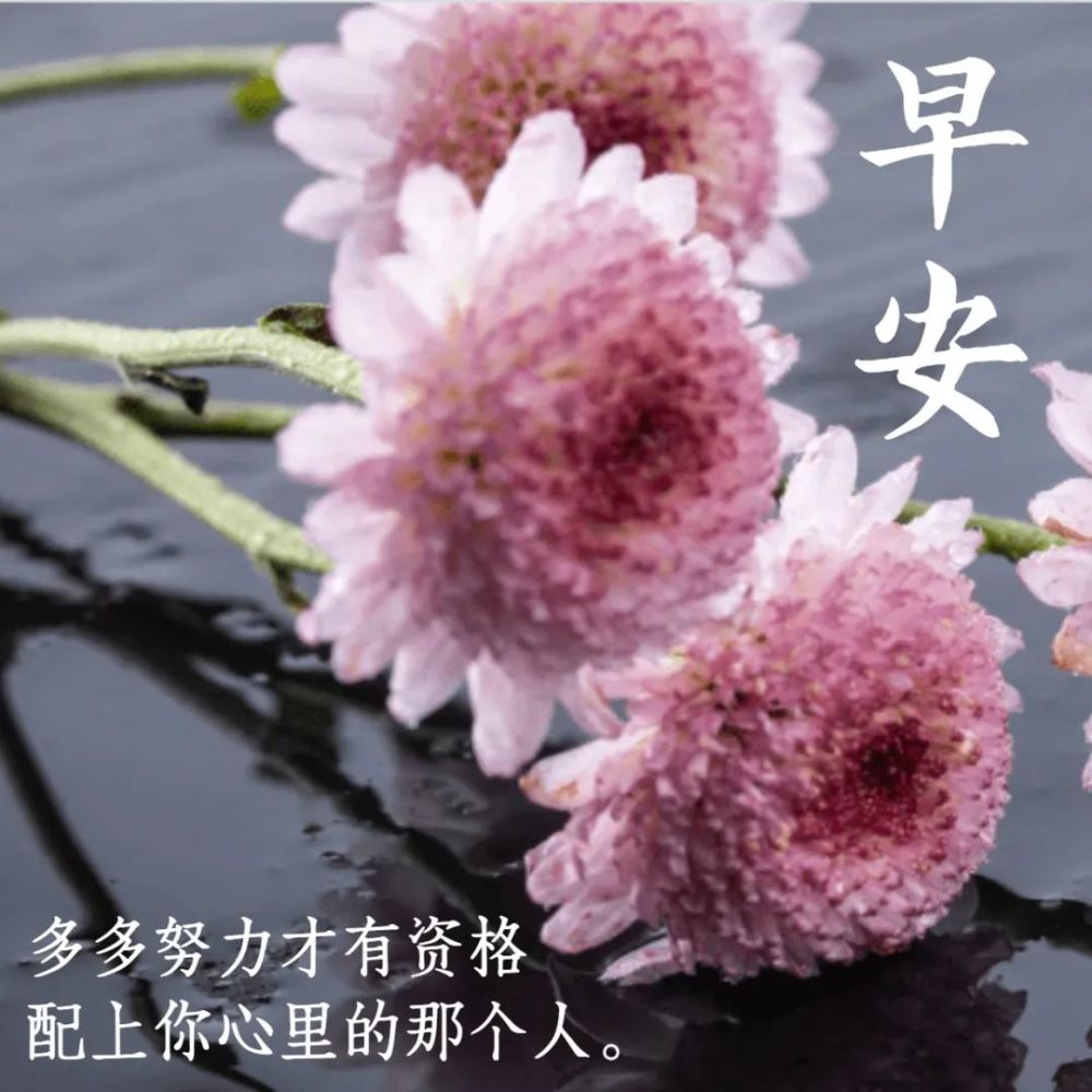 11月3日早安你好