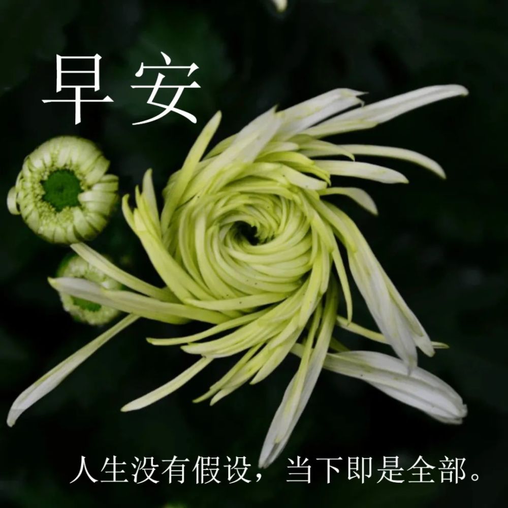 11月3日早安你好