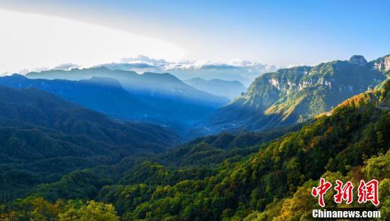 湖北神农架千山万壑秋尽染