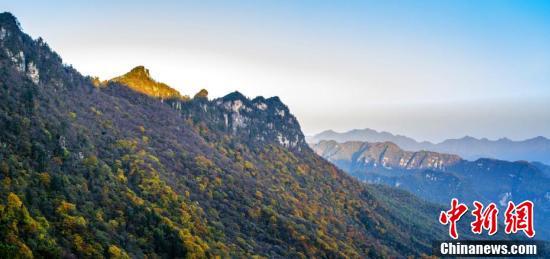 湖北神农架千山万壑秋尽染