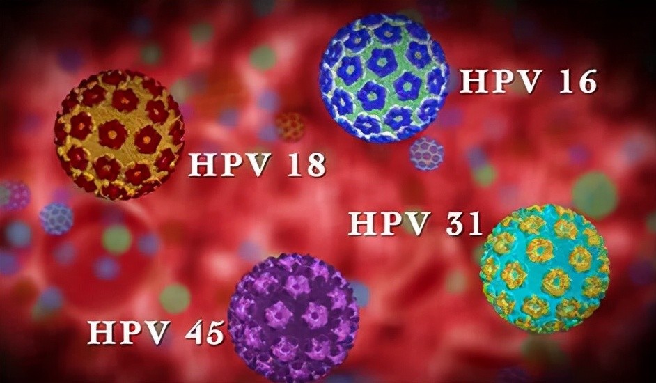 男人身上长有这个小东西或是hpv来了医生大多数人会有