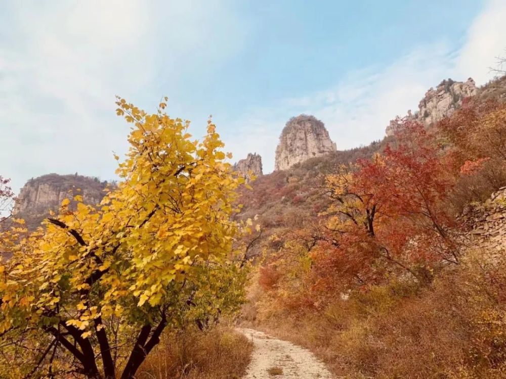 淄川这几个山的秋景太美了满山红叶你去过吗