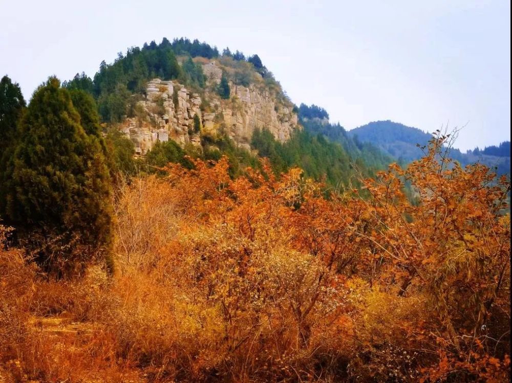 淄川这几个山的秋景太美了满山红叶你去过吗