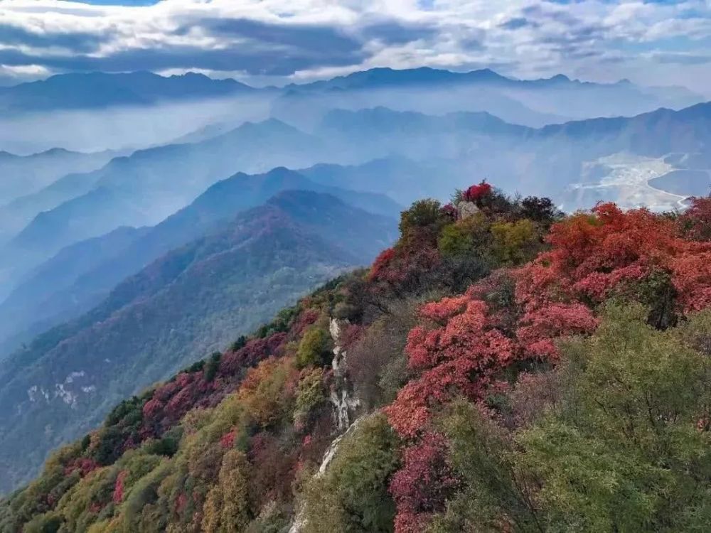 淄川这几个山的秋景太美了满山红叶你去过吗