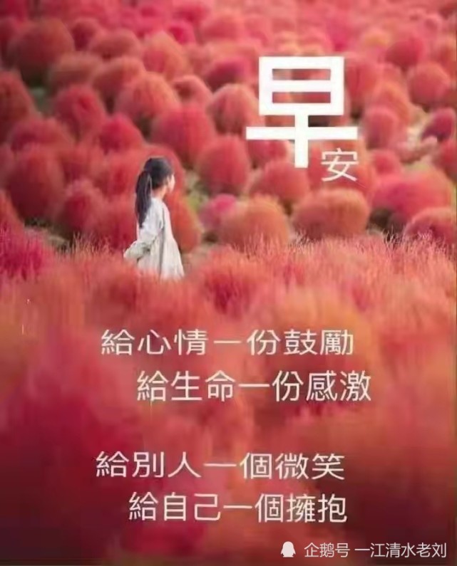 向你说声早安,事事顺心,样样好;祝福你顺心顺意.