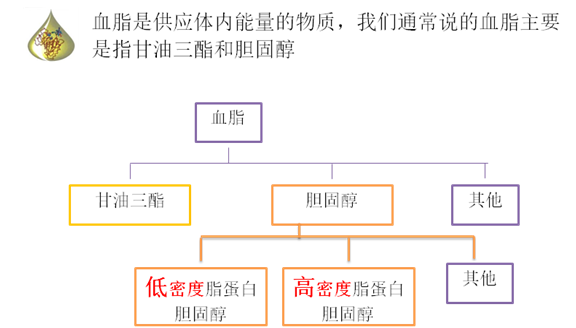 血脂异常通常指血浆中胆固醇和(或)甘油三酯升高,俗称高脂血症.