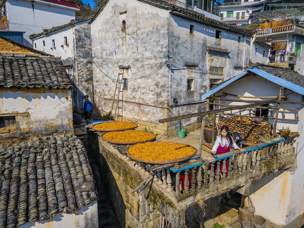 黄山小众旅行地秋禧歙县姬公尖赏别样晒秋