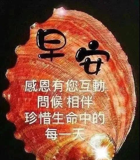 11月4日最新问候祝福图片 清晨最美早上好图片大全,秋冬时节温馨暖心