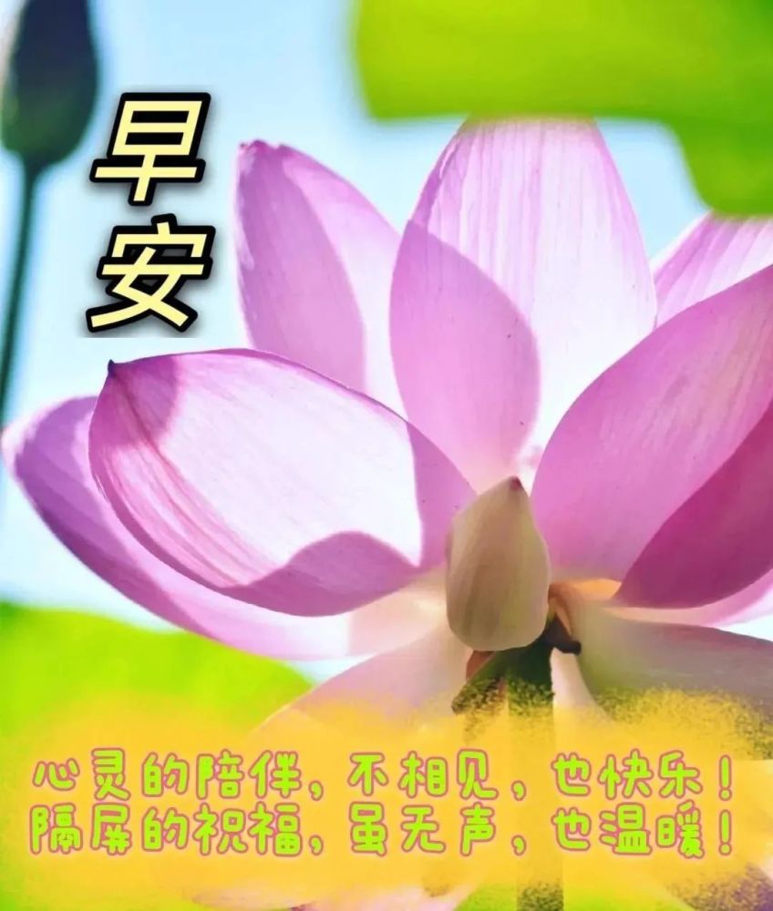 有创意好看的早安早上好图片带祝福语清晨早安祝福语漂亮图片