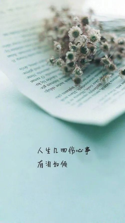 2,我这人就是这脾气.只要别人不理我的,我不会再硬着脸皮去打扰.