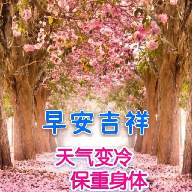 9张特有创意秋日清晨早上好祝福图片带字温馨 免打字