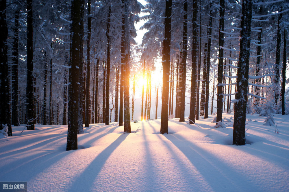 心理测试:哪束雪景阳光,更暖你的心,测这个冬季哪方面你会翻身