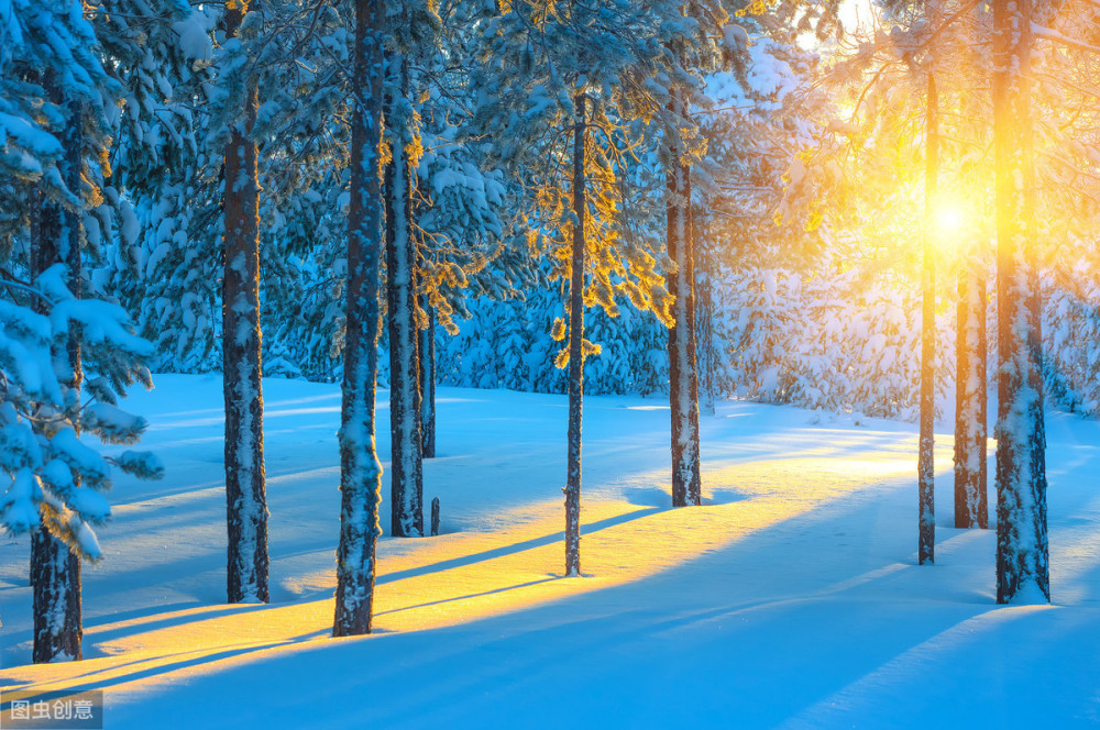 心理测试:哪束雪景阳光,更暖你的心,测这个冬季哪方面你会翻身