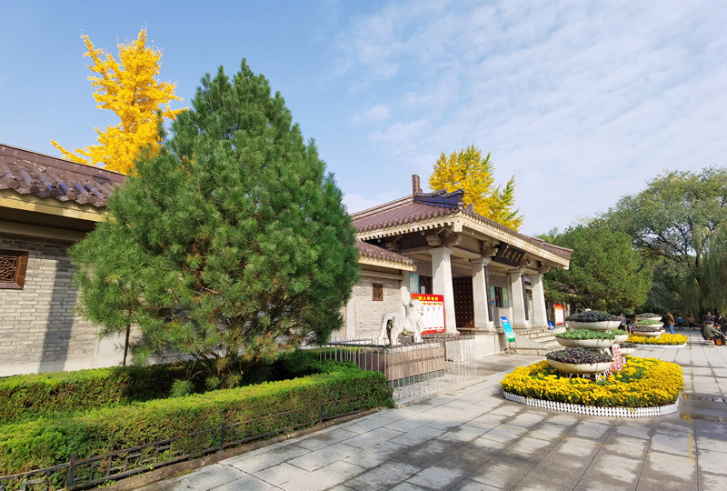宝鸡炎帝园里红枫似火,银杏如金,还不快来