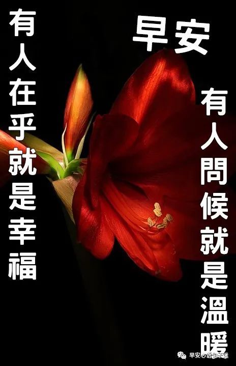 深秋最新早上好祝福图片早安图片带字大全