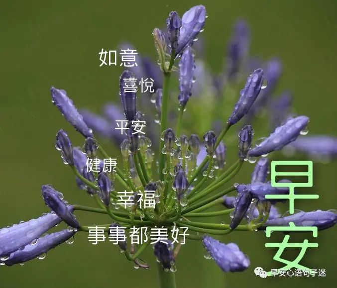 深秋最新早上好祝福图片早安图片带字大全