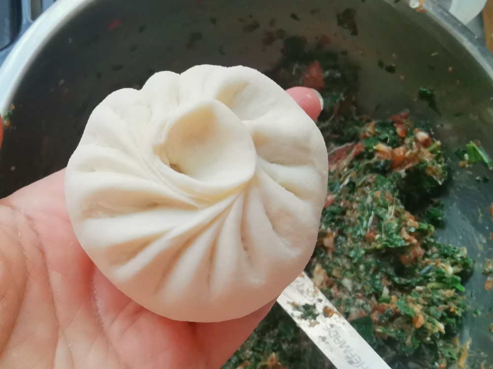 它是"天然抗生素"别错过最后一茬,清热去火还散结,蒸包子真棒