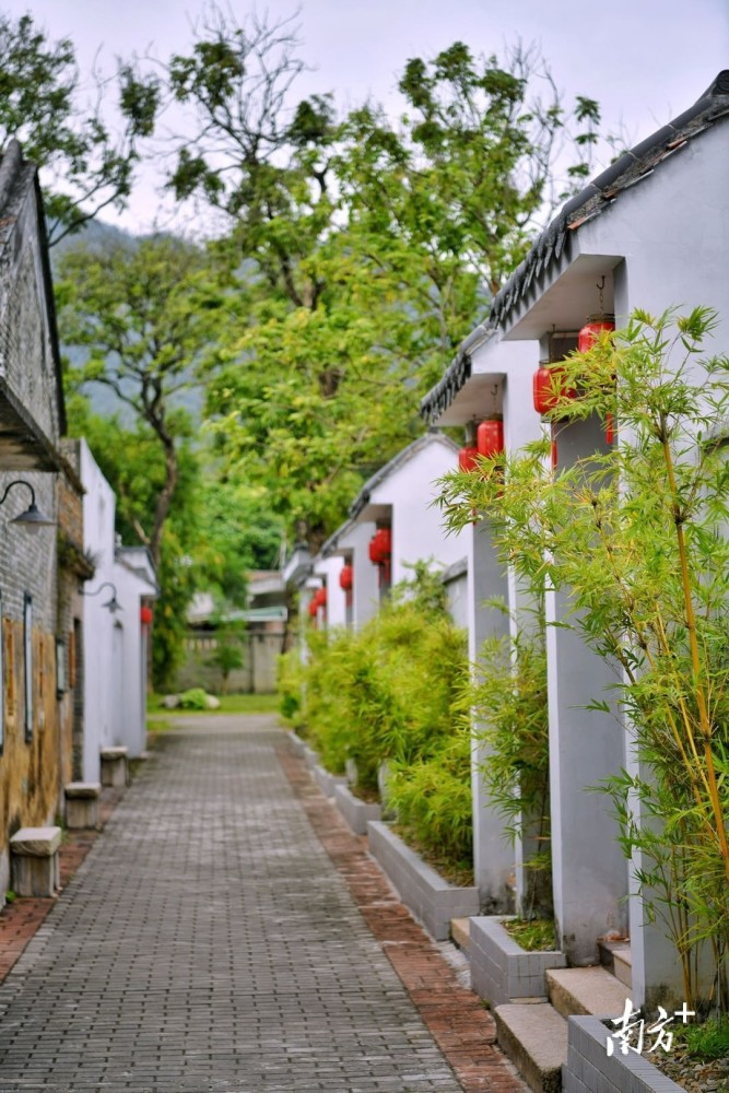 图集报道|赴清远乡村,享受一场美丽之旅