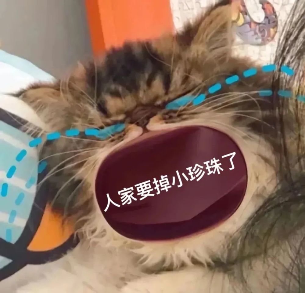 大嘴猫表情包