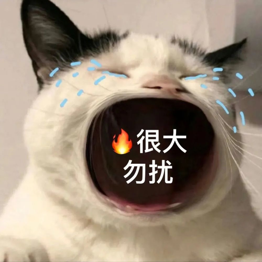 大嘴猫表情包