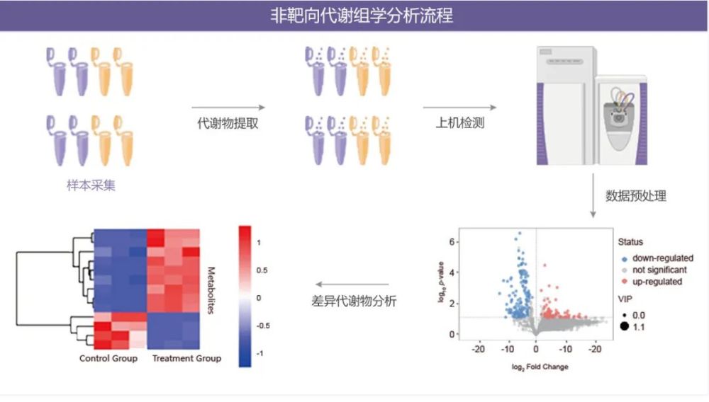 代谢组学最接近生物表型的组学medchemexpress
