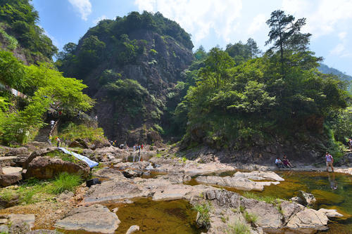 浙江铜铃山景区,有保存最好的原始阔叶林,有"天下绝景"之称_腾讯网