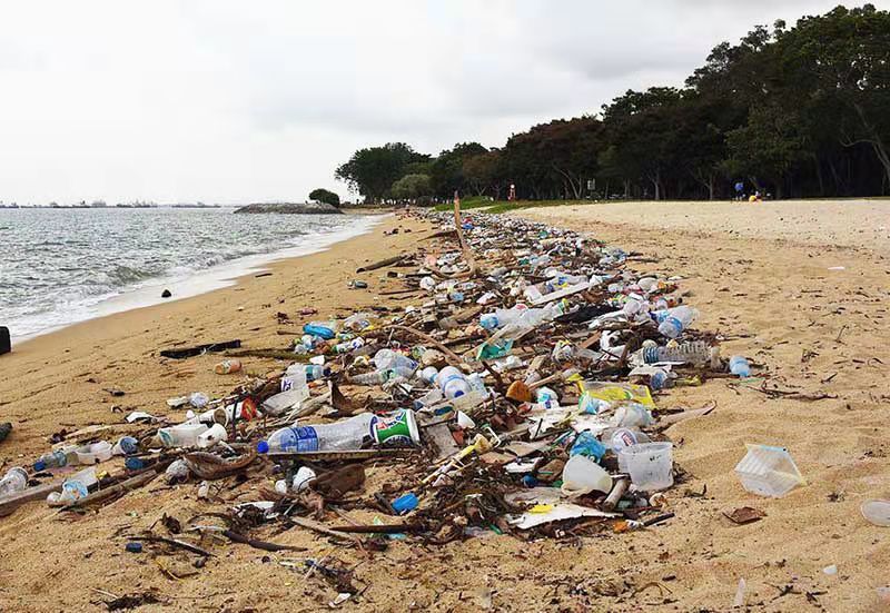 预计占地百万平方公里,太平洋上的垃圾带:你所不知道的海洋污染