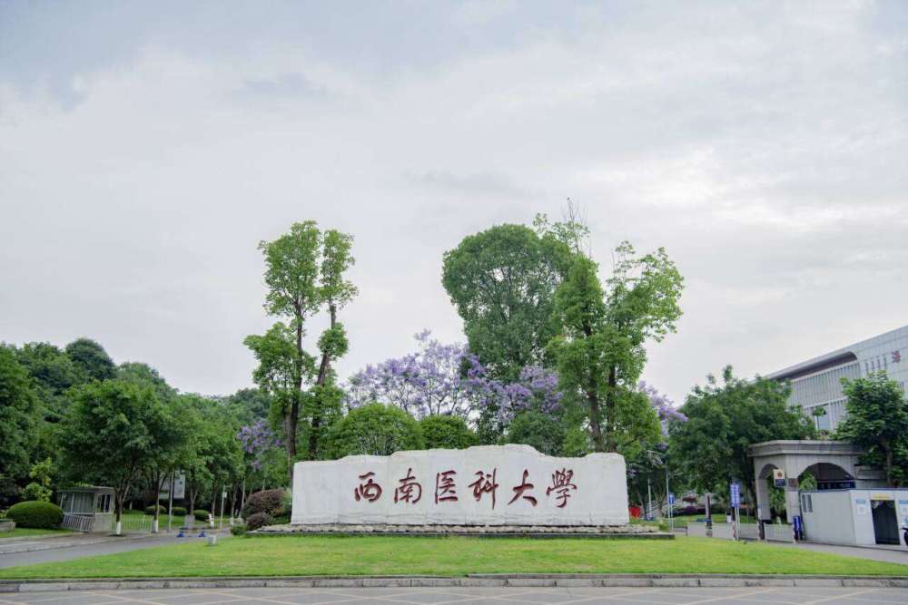 西南医科大学:校地合作打造区域医药健康中心