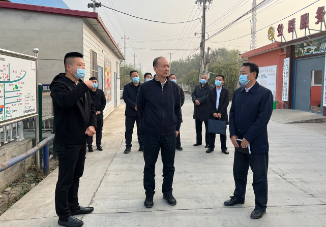 区领导到联系村推进乡村振兴工作