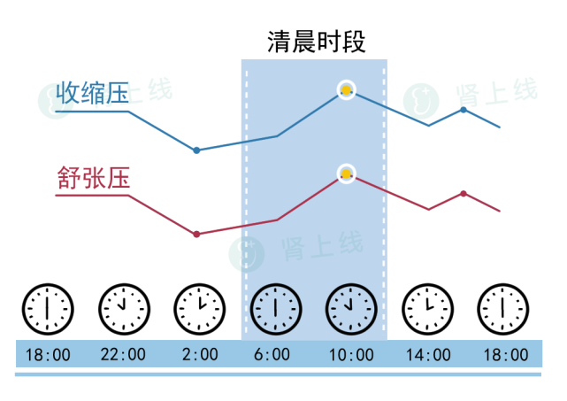 正常血压节律▽正常情况下,我们人体的血压有昼夜变化,白天血压升高而