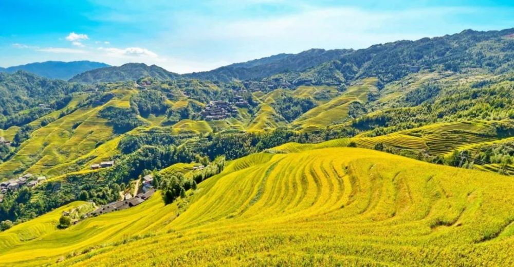 项目快讯|广西龙胜龙脊梯田景区总体规划项目顺利推进