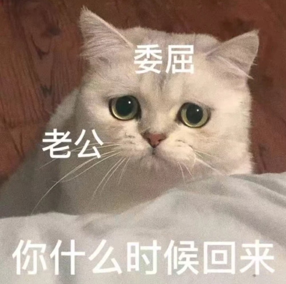 情侣互撩表情包先生那句爱我怕是不作数