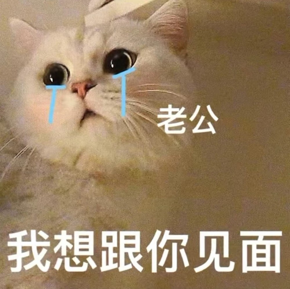 情侣互撩表情包先生那句爱我怕是不作数