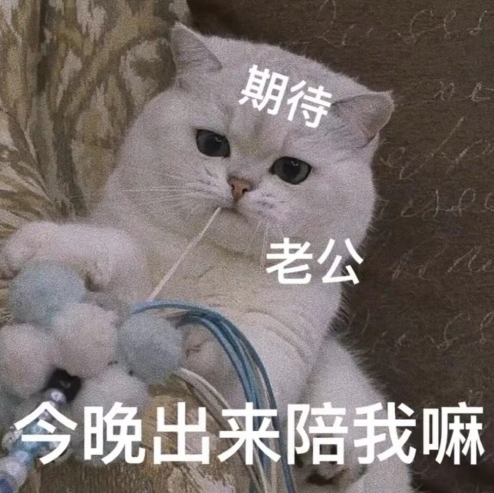 情侣互撩表情包我想要老婆