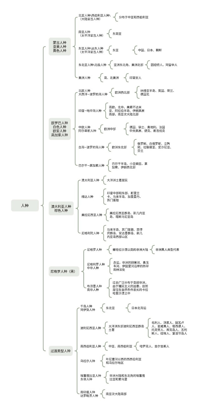 (内附思维导