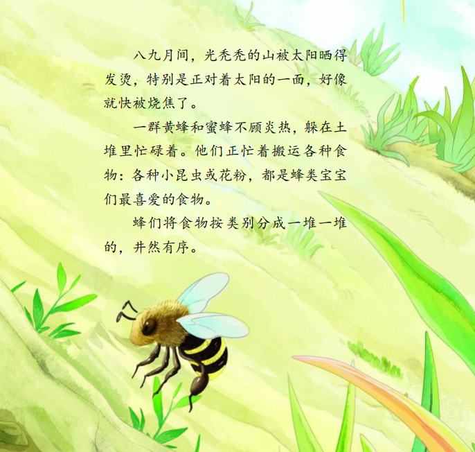 善妒的蝴蝶小姐们,会嫉妒黄翅飞蝗泥蜂噜噜纤细的腰肢~在这些个性鲜明