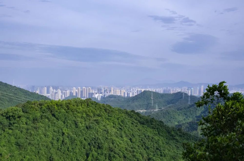 阳台山位于宝安,龙华,南山交界带 是深圳西部最高峰 沿登山道拾级而上