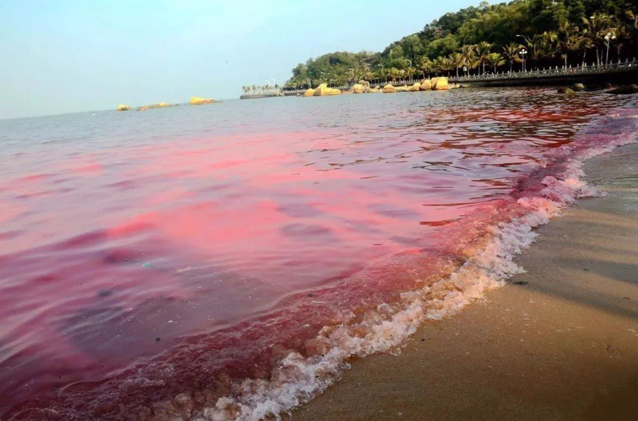 大海退潮后海水最后流去了哪里为什么会有涨潮和退潮