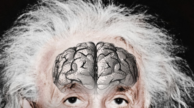 爱因斯坦究竟有多聪明?狂热解剖医生挖出大脑,终于揭晓答案