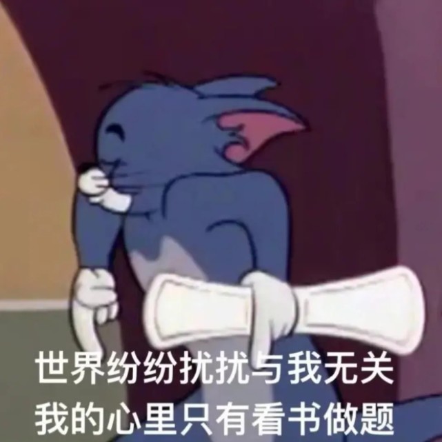 表情包|偷偷学习卷死所有人