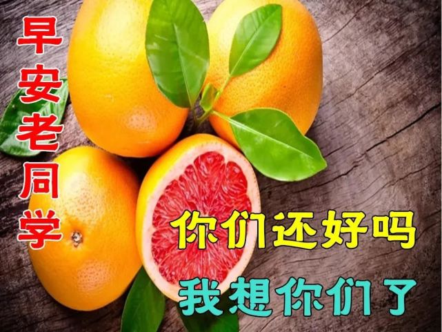 8张创意好看的老同学早上好祝福图片 免打字聊天的老