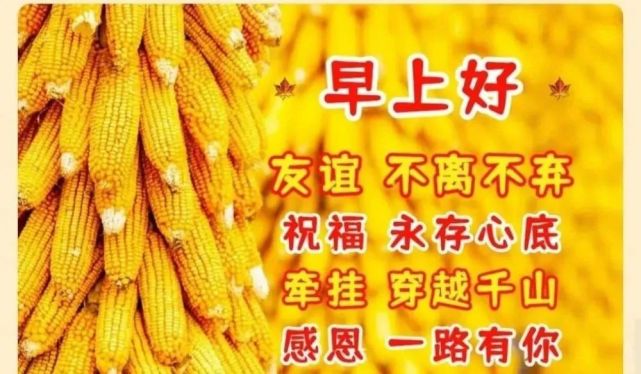 养生保暖,多穿衣裳.白雪飘落,好运带来.雪白世界,收获希望.