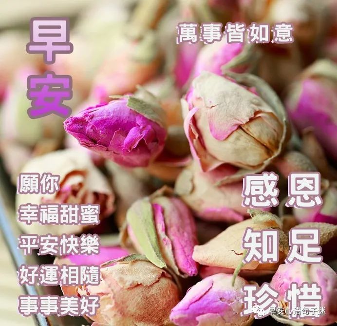 周五早上好问候语及关心话早上好问候图片大全