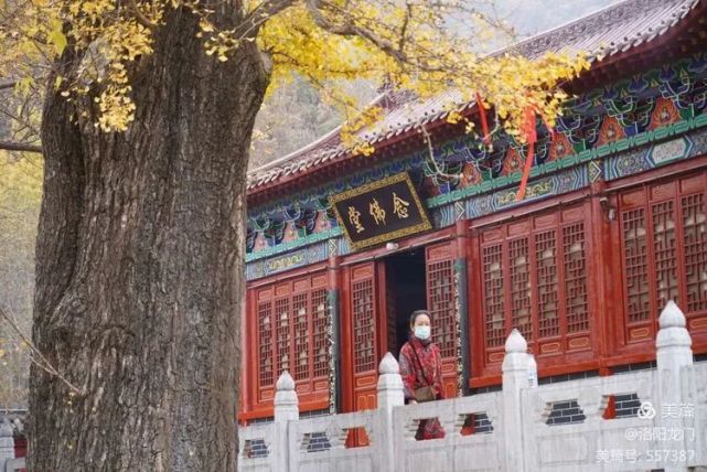 文殊寺,又名"俺窟沱寺",位于河南省平顶山市鲁山县四棵树乡平沟村中