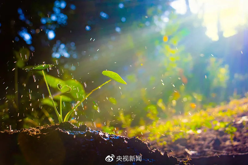 活成一束光