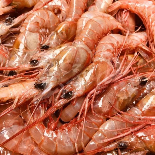 烟台人最爱的小红虾,你会想着怎么吃