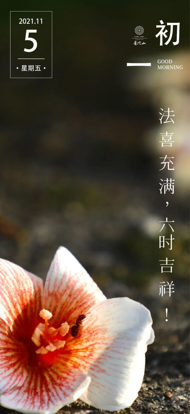 初一吉祥丨法喜充满,六时吉祥!