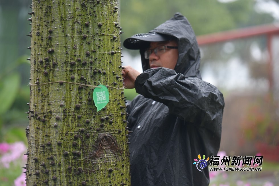 "植物二维码"亮相沙滩公园 福州市属公园草木扫码可阅读