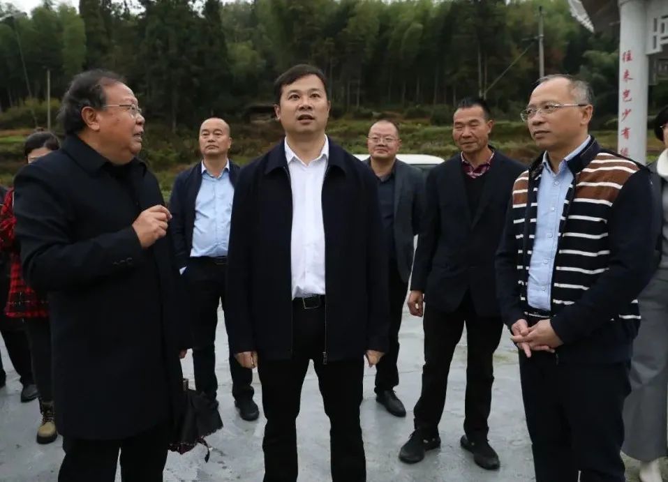 张永森深入南阳镇,大安乡开展"再学习,再调研,再落实"活动